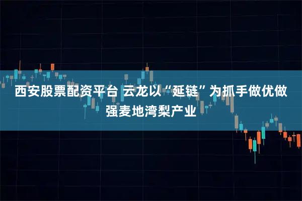 西安股票配资平台 云龙以“延链”为抓手做优做强麦地湾梨产业