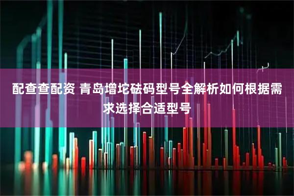配查查配资 青岛增坨砝码型号全解析如何根据需求选择合适型号