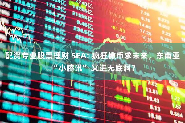 配资专业股票理财 SEA: 疯狂撒币求未来,东南亚 “小腾讯” 又进无底洞?